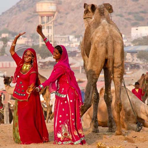Pushkar Sightseeing Tour Package